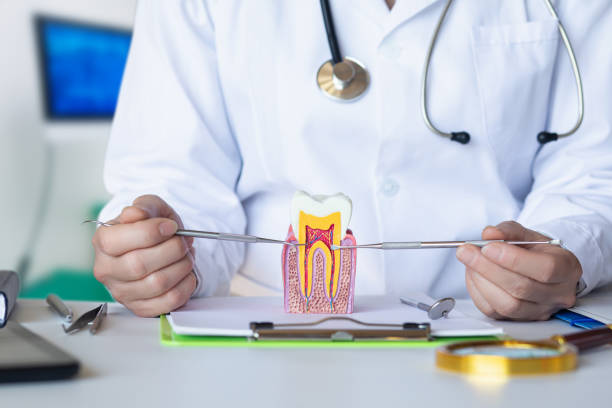 Best Weekend Emergency Dentist in Ord, NE